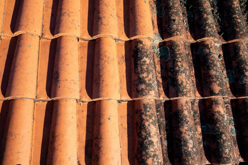 Faire nettoyer sa toiture en tuiles avec traitement hydrofuge par un professionnel local à Toulouse