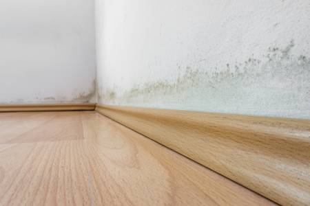 Notre zone d'activité pour ce service Entreprise spécialisée dans la toiture ancienne avec fuite ponctuelle nécessitant vérification des tuiles et réparation avec étanchéité renforcée à